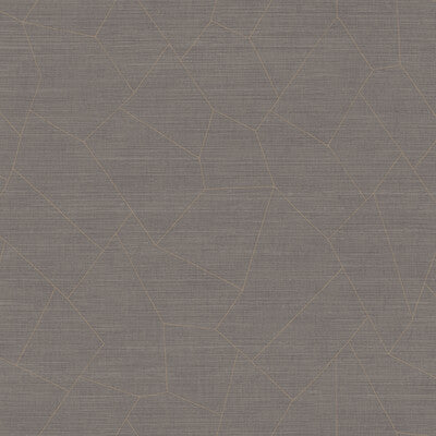WHF1747-WT VIVACE SMOKE WINFIELD THYBONY Wallpaper