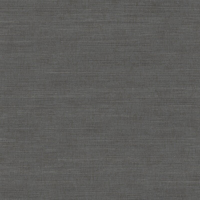 WHF1758-WT VIVACE THREAD GRAPHITE WINFIELD THYBONY Wallpaper
