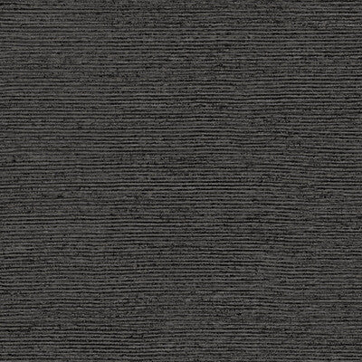 WHF2009-WT RADIUS BASALT WINFIELD THYBONY Wallpaper