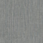 WHF2041-WT ENCLAVE GROVE WINFIELD THYBONY Wallpaper