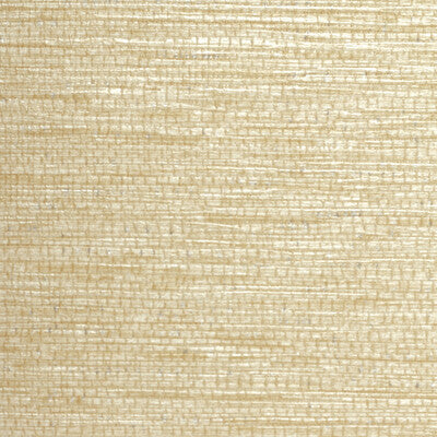 WHF3034-WT DRAKE COMB WINFIELD THYBONY Wallpaper