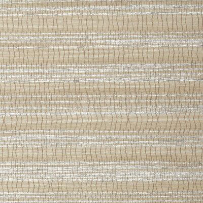 WHF3092-WT PORTICO BIRCH WINFIELD THYBONY Wallpaper