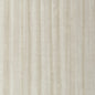 WHF3137-WT CASCADE SHELL WINFIELD THYBONY Wallpaper