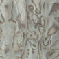 WHF3179-WT ABALONE FROST WINFIELD THYBONY Wallpaper