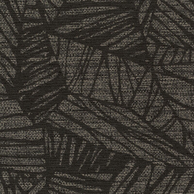 WHF3271-WT PHOENIX EBONY WINFIELD THYBONY Wallpaper