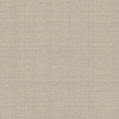 WHF3686-WT TANNIN TRACE MICA WINFIELD THYBONY Wallpaper