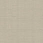WHF3686-WT TANNIN TRACE MICA WINFIELD THYBONY Wallpaper