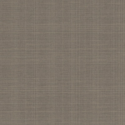WHF3688-WT TANNIN TRACE SMOKE WINFIELD THYBONY Wallpaper