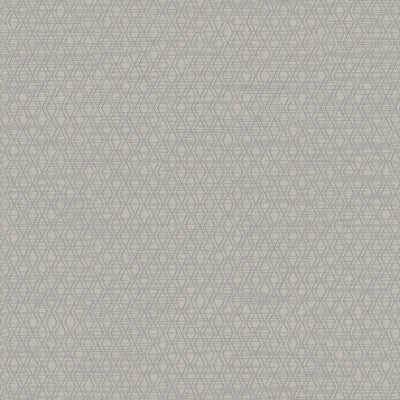 WHF3771-WT ARCHETYPE BARK WINFIELD THYBONY Wallpaper