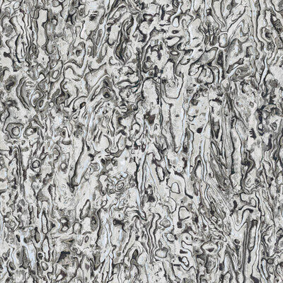WHF3804-WT ABALONE DUSK WINFIELD THYBONY Wallpaper