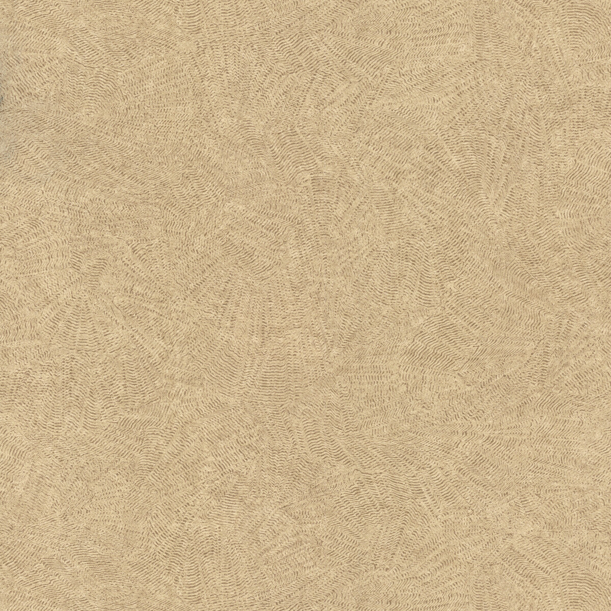 WHF4157-WT CASAS SABLE WINFIELD THYBONY Wallpaper