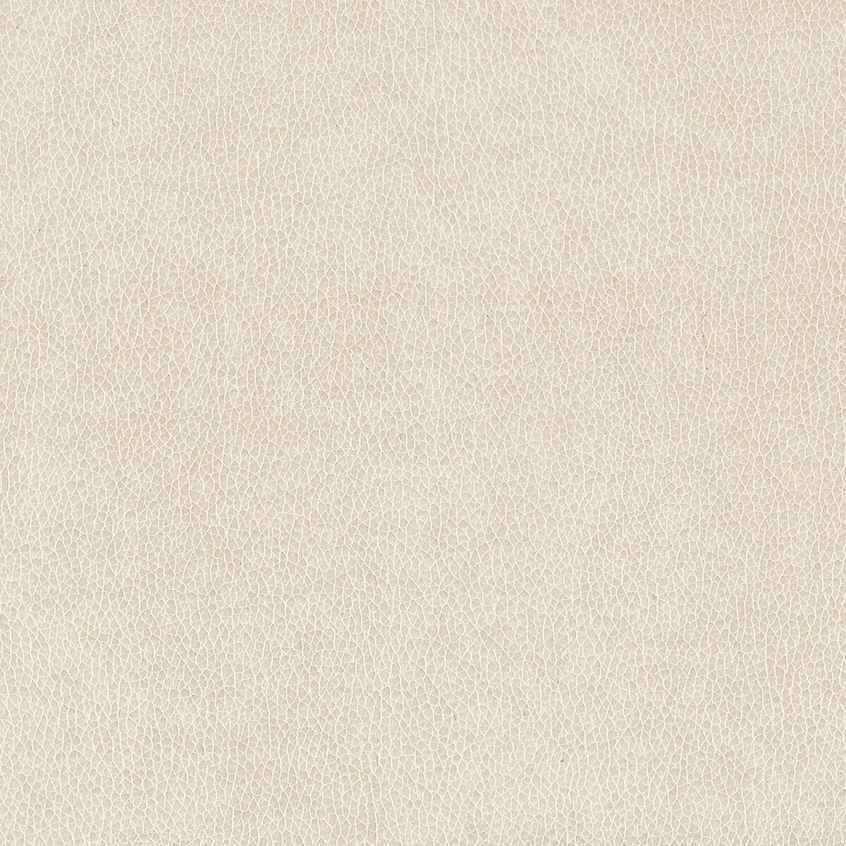 WILKINSON Stout Upholstery