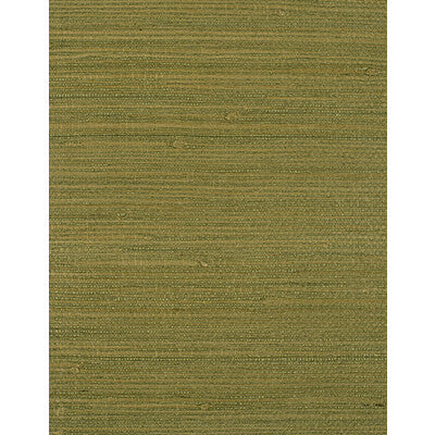 WIW2505-WT MONTEGO MOSS WINFIELD THYBONY Wallpaper