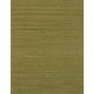WIW2505-WT MONTEGO MOSS WINFIELD THYBONY Wallpaper