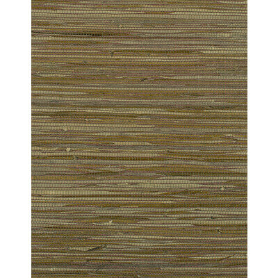 WIW2507-WT MONTEGO TERRACOTTA WINFIELD THYBONY Wallpaper
