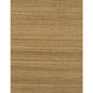 WIW2513-WT BERMUDA CUSTARD WINFIELD THYBONY Wallpaper