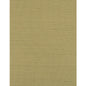 WIW2517-WT BERMUDA SPRIG WINFIELD THYBONY Wallpaper
