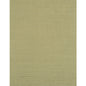 WIW2518-WT BERMUDA MINT WINFIELD THYBONY Wallpaper