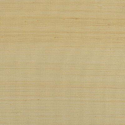 WIW2520P-WT BERMUDA MISTP WINFIELD THYBONY Wallpaper