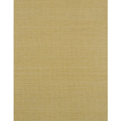 WIW2528-WT BERMUDA CITRINE WINFIELD THYBONY Wallpaper