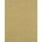WIW2528-WT BERMUDA CITRINE WINFIELD THYBONY Wallpaper