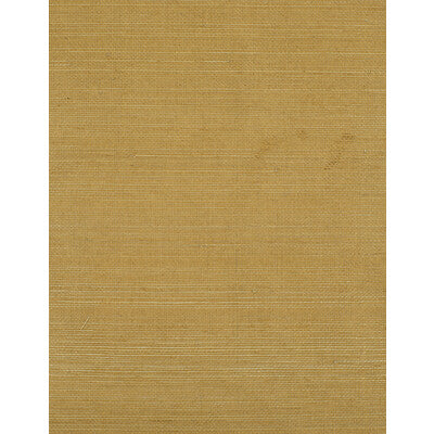 WIW2537-WT NEGRIL SOLE WINFIELD THYBONY Wallpaper
