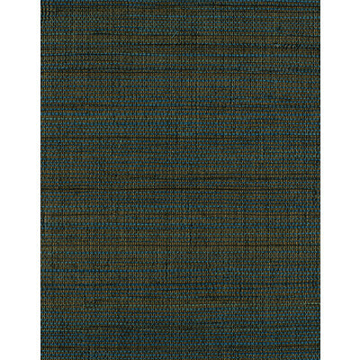 WIW2546-WT NEGRIL MIDNIGHT WINFIELD THYBONY Wallpaper