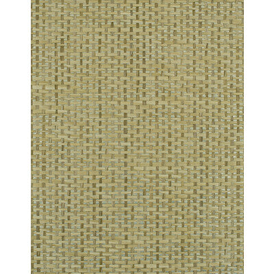WIW2555-WT PLAYA NATURAL WINFIELD THYBONY Wallpaper