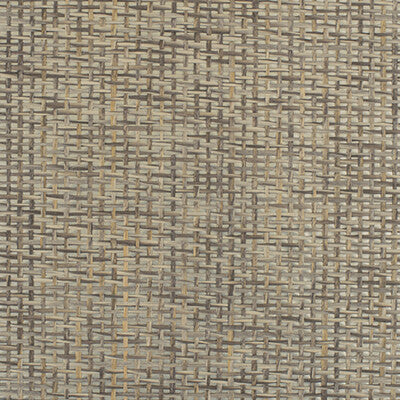 WIW2557P-WT PLAYA GRIEGEP WINFIELD THYBONY Wallpaper