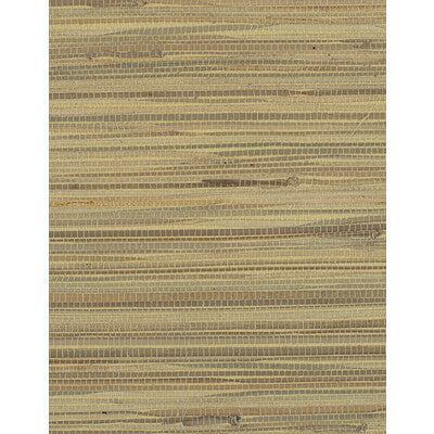 WIW2559-WT CORENWALL WHEAT WINFIELD THYBONY Wallpaper