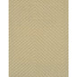 WIW2574-WT HAMILTON SHELL WINFIELD THYBONY Wallpaper