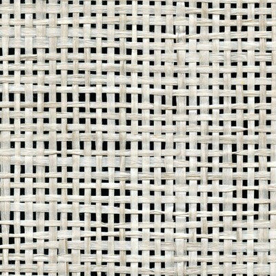 WNR1119-WT BONSAI WEAVE WINFIELD THYBONY Wallpaper