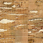 WNR1122-WT GAUDI WINFIELD THYBONY Wallpaper