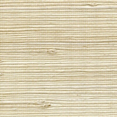 WNR1123-WT PETITE BENGALI WINFIELD THYBONY Wallpaper