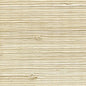 WNR1123-WT PETITE BENGALI WINFIELD THYBONY Wallpaper