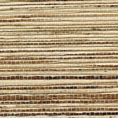 WNR1126-WT PETITE BENGALI WINFIELD THYBONY Wallpaper