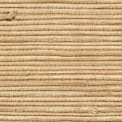 WNR1170-WT BENGALI WINFIELD THYBONY Wallpaper