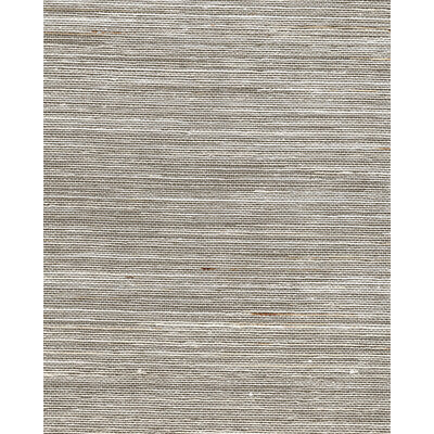 WNR2033-WT MINORI SISAL HAZELNUT WINFIELD THYBONY Wallpaper