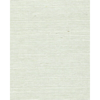 WNR2105-WT CHIYO SISAL HINT OF GREEN WINFIELD THYBONY Wallpaper