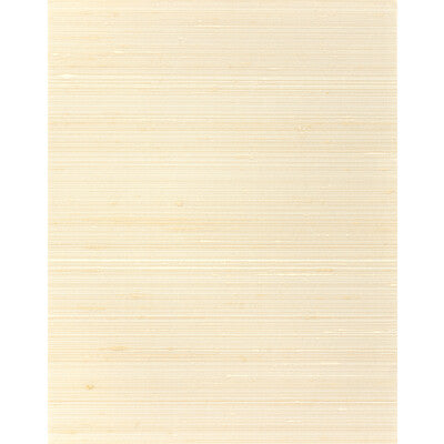 WNS5523-WT GRAYSON NUDE WINFIELD THYBONY Wallpaper