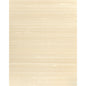 WNS5525-WT GRAYSON SEASHELL WINFIELD THYBONY Wallpaper