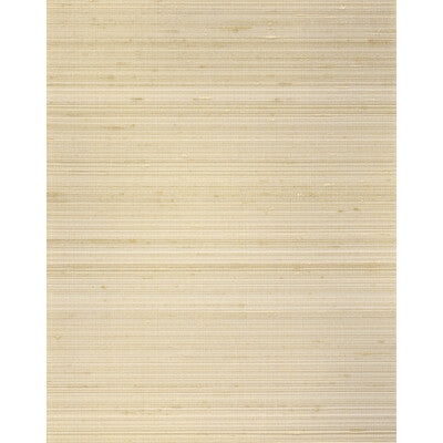 WNS5528-WT GRAYSON CLAYSTONE WINFIELD THYBONY Wallpaper