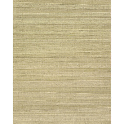 WNS5533-WT ARLETTE GREEN TEA WINFIELD THYBONY Wallpaper
