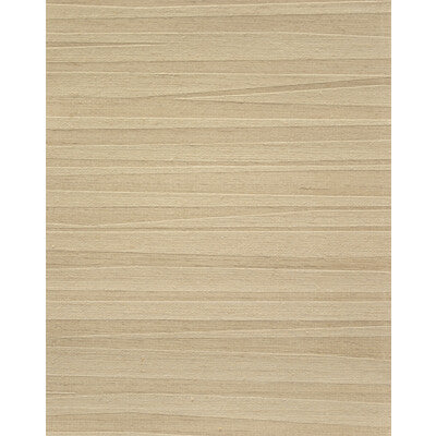 WNS5536-WT ARLETTE OAK WINFIELD THYBONY Wallpaper