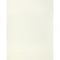 WNS5547-WT MISHEO COCONUT WINFIELD THYBONY Wallpaper