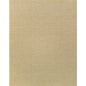 WNS5578-WT ALTHEA PLAIN RAFFIA WINFIELD THYBONY Wallpaper