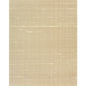 WNS5593-WT CARRINGTON TAN WINFIELD THYBONY Wallpaper