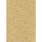 WNW2219-WT ROSETTE WEAVE BLOND WINFIELD THYBONY Wallpaper