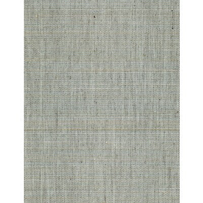 WNW2253-WT ACAPELLA BLUE RAVINE WINFIELD THYBONY Wallpaper