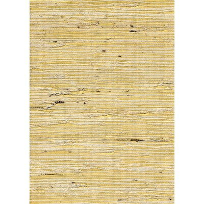 WNW2259-WT CONCERTO GOLD WINFIELD THYBONY Wallpaper